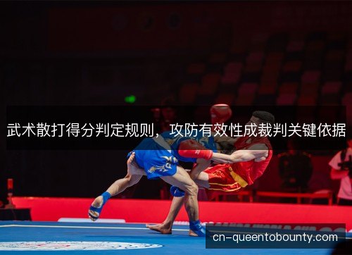 武术散打得分判定规则，攻防有效性成裁判关键依据